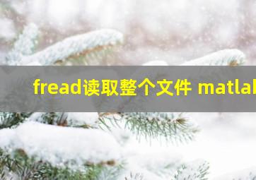 fread读取整个文件 matlab